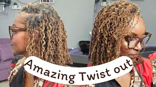 Taking Down Two Strand Twists on Locs | How I Get Defined Results