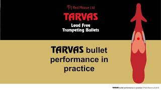 Tarvas Homogene Kuler I Praksis