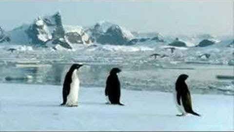 Linux everything is possible