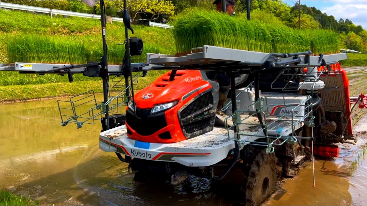 Kubota】 NW60S GS 田植え機 田植え作業 - YouTube