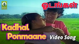 Kadhal Ponmaane  Song  Odangal Movie   Sanjay Kumar Naveena  Mayil 