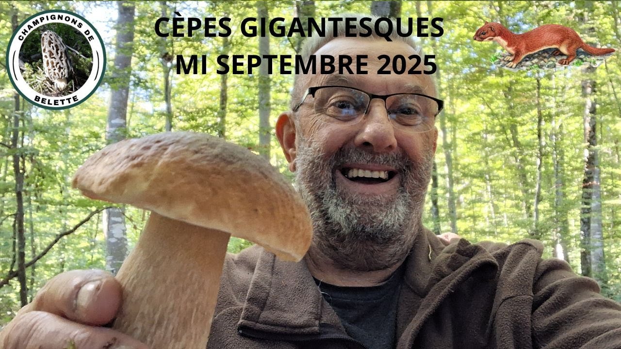 𝗖È𝗣𝗘𝗦 𝗚𝗜𝗚𝗔𝗡𝗧𝗘𝗦𝗤𝗨𝗘 𝗩𝗢𝗦𝗚𝗘𝗦 𝗣𝗟𝗔𝗜𝗡𝗘 𝗺𝗶 𝘀𝗲𝗽𝘁𝗲𝗺𝗯𝗿𝗲 𝟮𝟬𝟮𝟱 🌳🍄‍🟫🌳