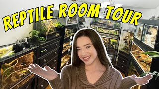 REPTILE ROOM TOUR  Snakes, Lizards, Spiders & More!