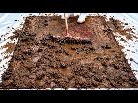 No One Expected a Perfectly Good Rug Under All This Mud - Amazing Rug Restoration - ASMR Video
