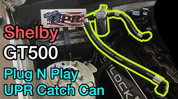 Shelby GT500 Plug N Play UPR Oil Catch Can *INSTALL* #teamupr #upr