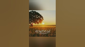 واذا سألك عبادي عني فإني قريب 🍁 اجمل حالات واتس اب قران كريم بصوت جميل 🎧💖 تلاوة خاشعة🌸🍃 Quran status