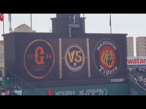 20211106　いよいよ♪試合開始前のｵｰﾛﾗﾋﾞｼﾞｮﾝ演出【阪神ﾀｲｶﾞｰｽvs読売ｼﾞｬｲｱﾝﾂ(巨人)】@阪神甲子園球場［CS1stｽﾃｰｼﾞ第1戦］3塁ｱﾙﾌﾟｽ席
