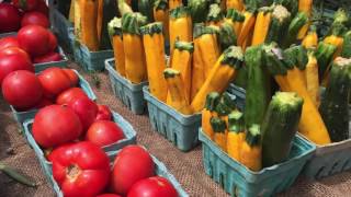 Logan Square Farmers Market