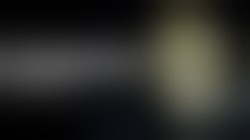 Germinating a Cannabis Seed