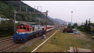 부산발 영주행 무궁화호 #1824 (견인기 DEL7372)