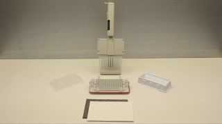 Hand-Held Magnetic Separation Plate Flick and Blot