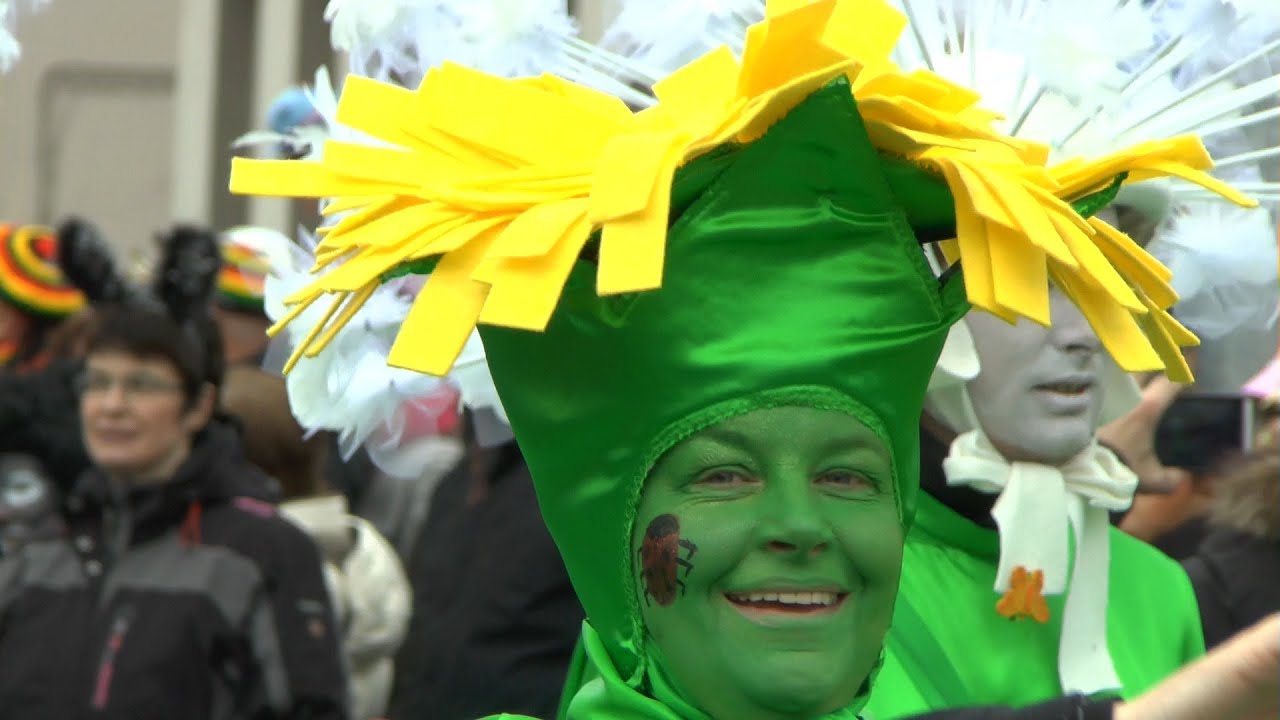 Rosenmontagszug in Beckum 2014