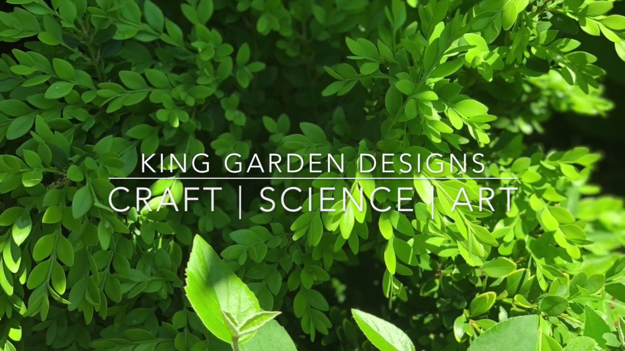 Boxwood Intro YouTube