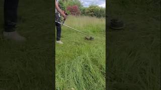 Overgrown Grass? Not Anymore! 🌿✂️