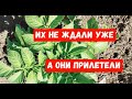 #77ЖИВЕМ НА КУБАНИ/ЧТО ЗАКАЗАЛИ В ЕЙСКЕ/ЧТО УЖЕ СОБИРАЕМ