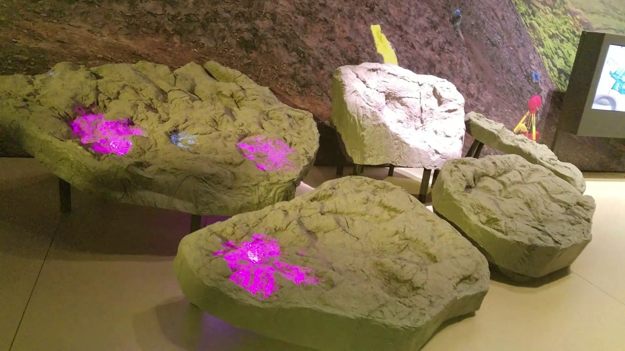 joe mixon The dinosaur exhibit at the Perot museum