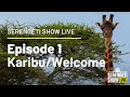 Karibu, welcome to the Serengeti safari Show live - Tanzania - Episode 1
