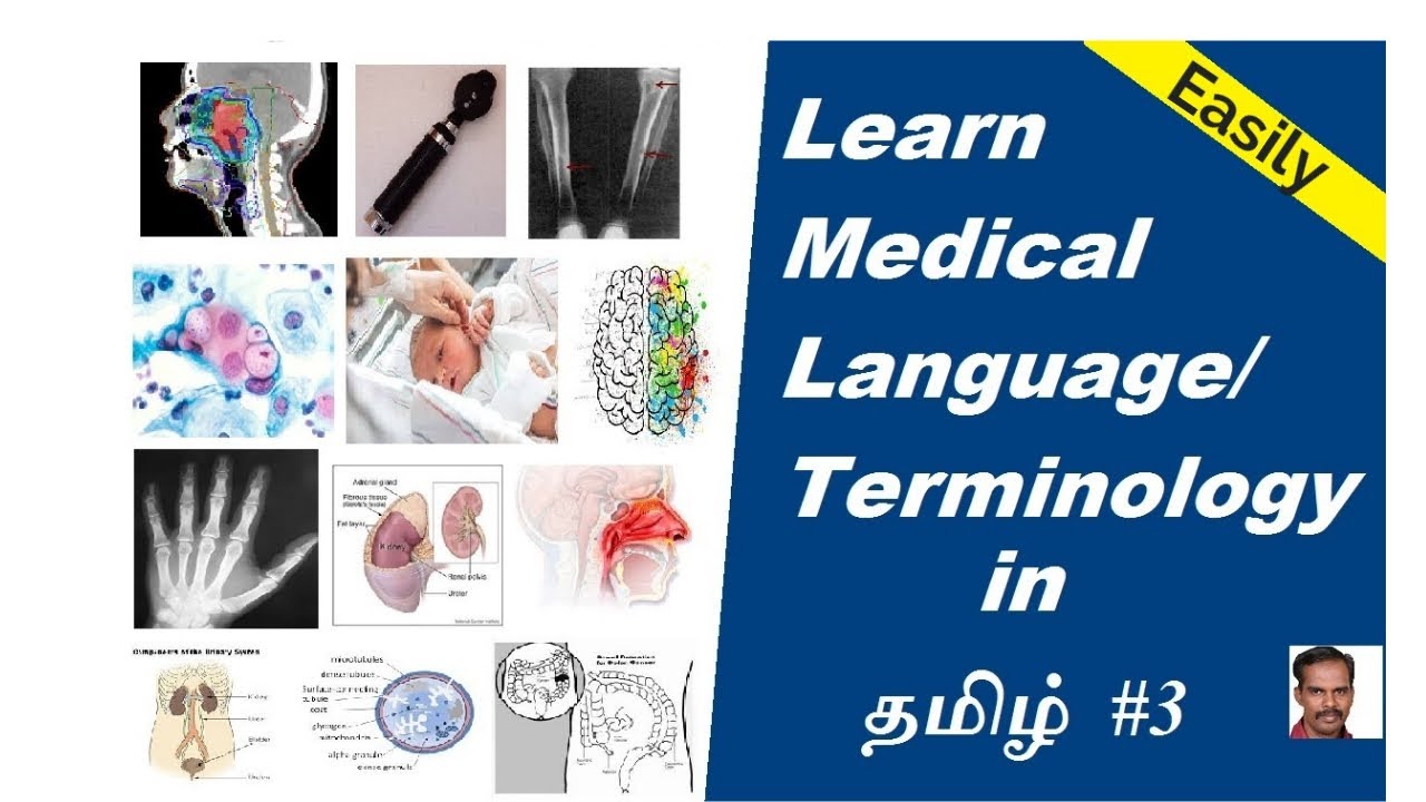 LEARN MEDICAL LANGUAGE TERMINOLOGY IN TAMIL Easily 3 YouTube