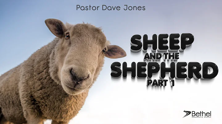 Sheep and the Shepherd Part 1: The Lord is my shepherd (Psalm 23) - Pastor Dave Jones