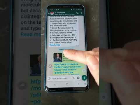 WhatsApp 轉發信息