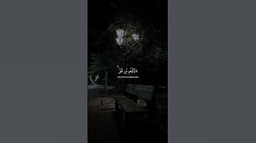 سورة هود (١٠٩) القارئ اسلام صبحي #سورة_هود #اسلام_صبحي #قرآن #quran