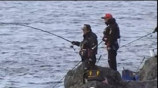 米水津横島でグレ釣り〜前編〜