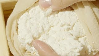 [SUB] Making Homemade Cottage Cheese for dogs [4K] Sodiary