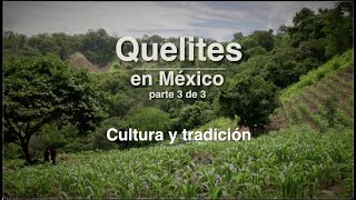 Quelites en Mexico Capitulo 3