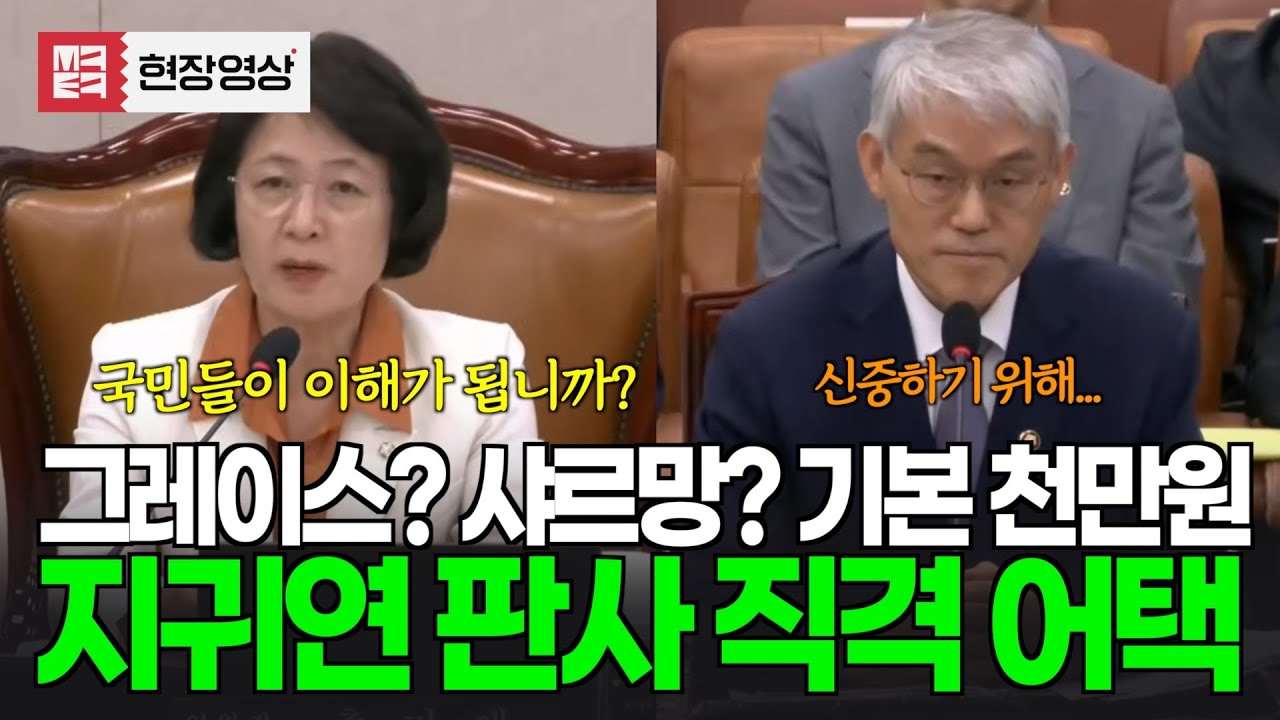 "기본 세트 값이 천만원???!!!" 그레이스?샤르망? 지귀연 판사 직격어택하는 추미애 법사위원장