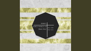 Scoateti Pistoalele (Adam Touch Remix)