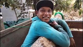 derek kayu menggunakan mesin motor tenaganya sangat kuat meringankan beban hidup😁😁
