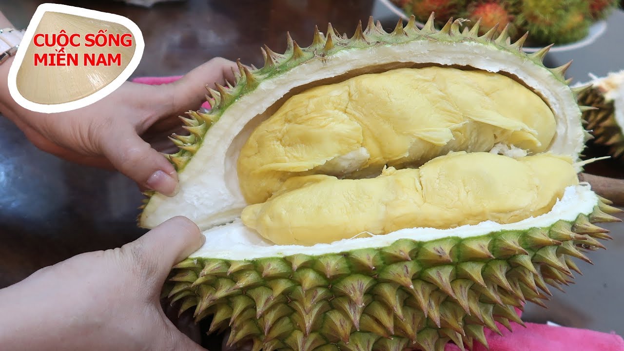 Sầu riêng đầu mùa có ngon không? (đám giỗ miền đông P4) #namviet