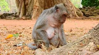 Poor Jade So Misses Beloved Jayden Eat But Look Around, Poor Jayden Left Mom Sad & Lonely