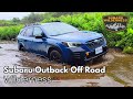 Subaru Outback Wilderness Off-road trail test: Water crossing and rock climbing!