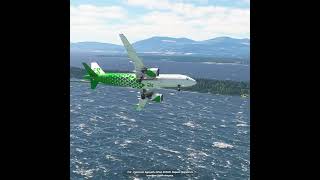 the pilot's actions endangered the plane's passengers EP475