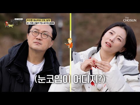 발길이🚶‍♀️ 닿는 곳마다 힐링💓을 느낄 수 있는 <strong>담양</strong>🌳 TV CHOSUN 250323 방송 | [식객 허영만의 백반기행] 288회 | TV조선