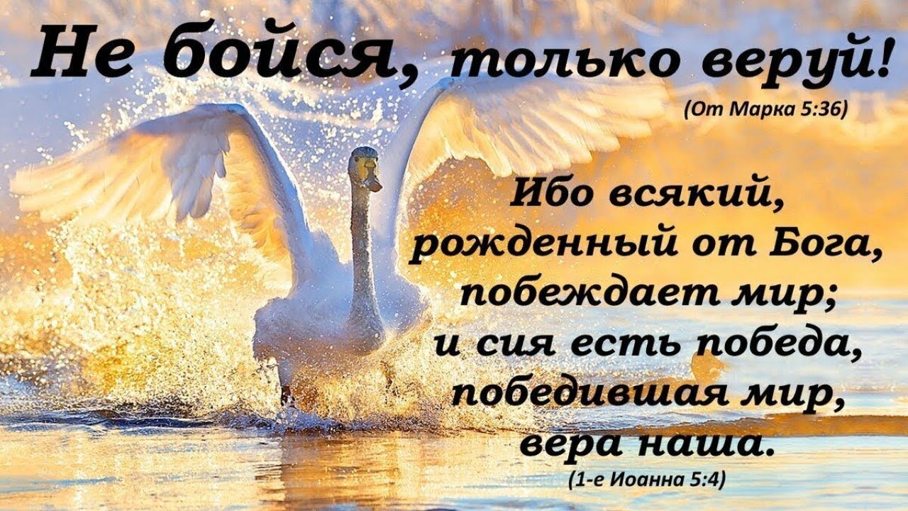 Утренняя молитва ауди Утренняя молитва ауди