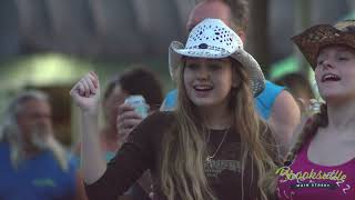 2023 Brooksville Blueberry Festival commercial