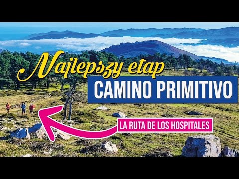 CAŁY najlepszy etap