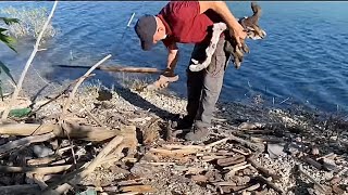 WHAT TO DO WITH WOOD YOU FIND ON THE BEACH? COOK FOOD AND CHICKEN IN THE DRUM AT THE VILLAGE HOUSE