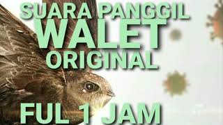 SUARA PANGGIL WALET ORIGINAL FULL 1 JAM