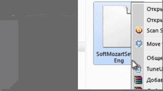 Soft Mozart Download. screenshot 3