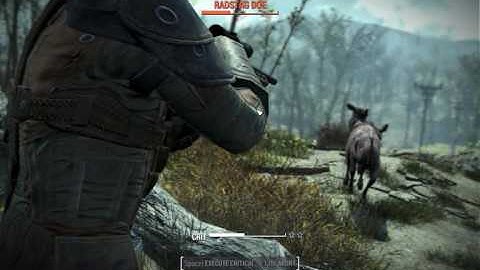 Fallout 4 Grassland and Springtime Trees Mod @ 60fps