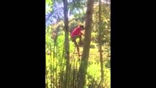 Amazing Tree Climbing - මෙන්න පට්ට වැඩ කරයෙක්..