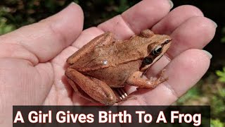 South africa frog video | frog video twitter | Frog Coming Out Of Woman In South Africa