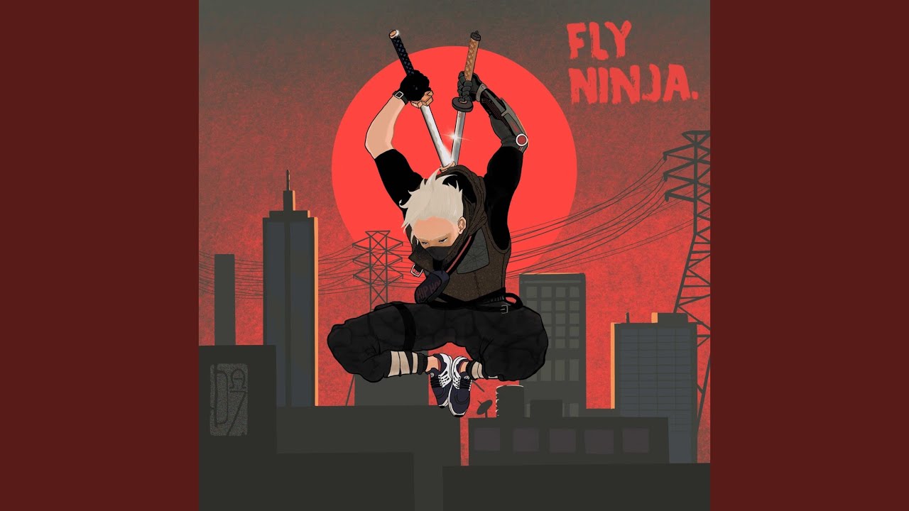 Fly Ninja