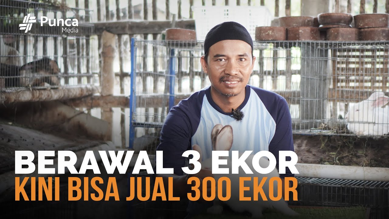 Cara Ternak Kelinci Hingga Bisa Jual 300 Ekor Perbulan, Mantan TKI Ini