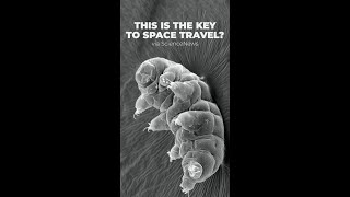 This thing is the key to space travel? 😕 | Think Inc.