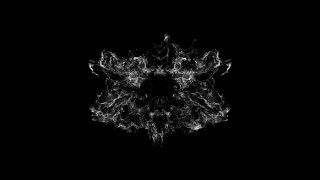 Shockwave Organic 01