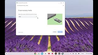 Make recovery media for a Google Chromebook